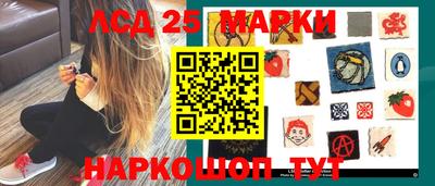 меф Гатчина