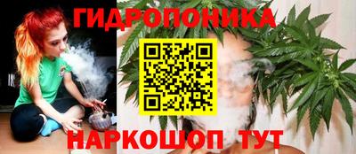 гидра Берёзовский